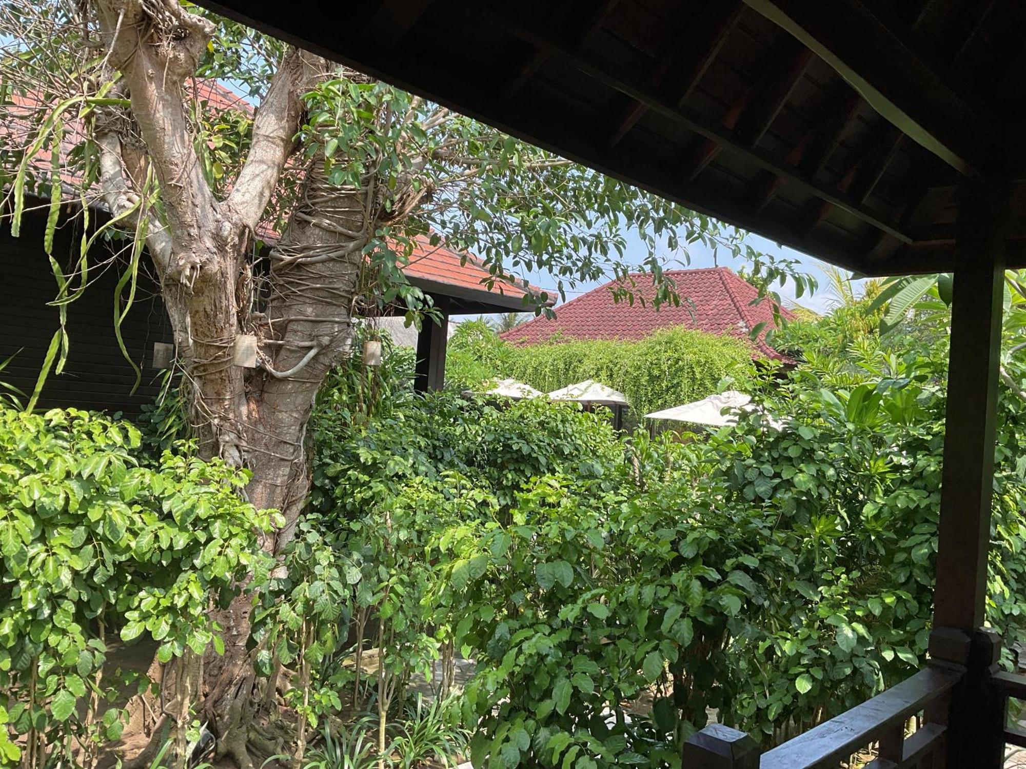 Bunutbali Villas88 Нуса-Лембонган Экстерьер фото